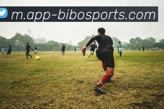 体育下注品牌故事