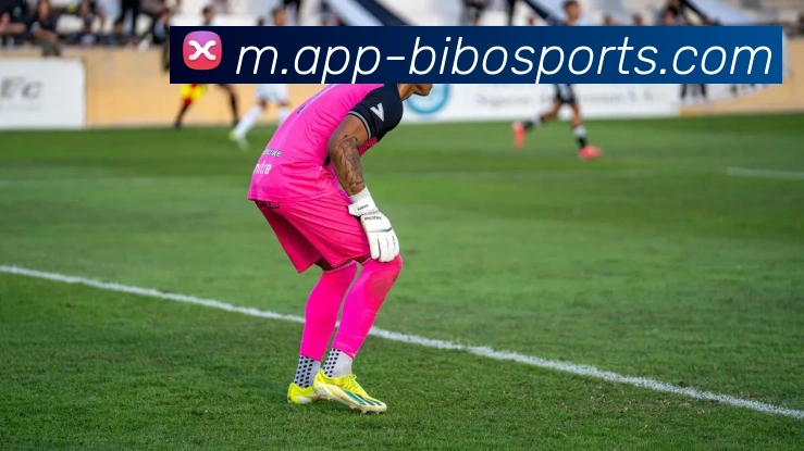 体育下注服务体系